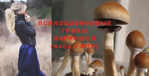 ALPHA PVP Киреевск