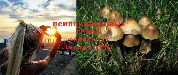 винт Абинск
