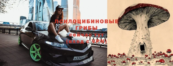 не бодяженный Киренск