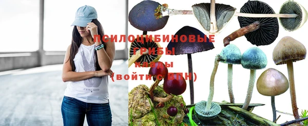 ГАЛЛЮЦИНОГЕННЫЕ ГРИБЫ Алексин