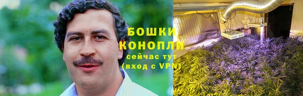 прущий лед Абаза